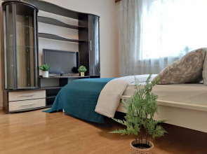 Апартаменты Уютная квартира в центре