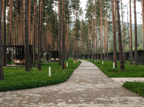База Отдыха Pinewood Resort & Spa