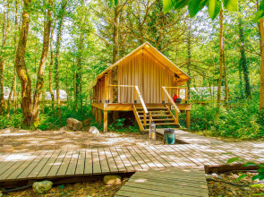 ЛЕС Глэмпинг и SPA