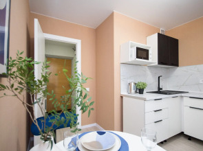 Квартира комфорт плюс Волжская