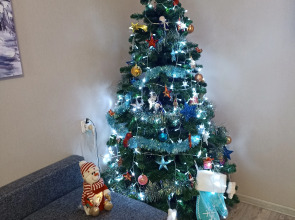 Апартаменты Zvezdnaya