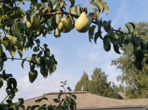 Гостевой дом Окулова Заимка