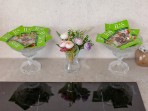 Апартаменты RentPlaza на Губернаторской