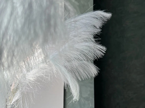 Отель Эко-Отель Клевер