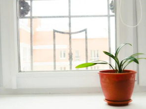 Квартира Уютная квартира на берегу залива