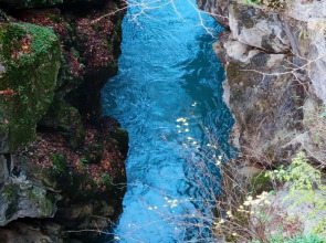 Квартира комфортная в самом центре города с приятным окружающим видом