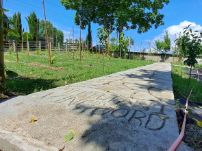 Апарт-отель Mtrediani Wine Lodge