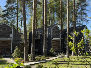 Коттедж 1 Скворешники