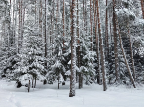 Частный дом Новый 6 местный дом у озера с банным чаном и баней.