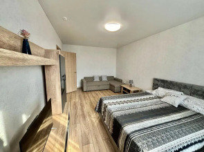 Квартира Уютная однокомнатная ЖК Озерки