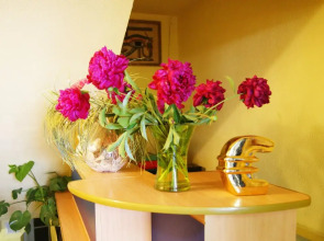 Мебелированные комнаты Хостел Dream House