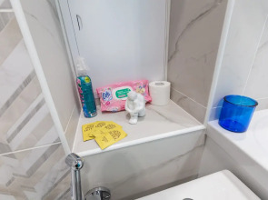 Апартаменты Бирюза и Подсолнух ВПитер на сутки 1