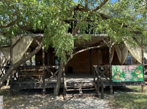 База Отдыха Pitsunda House