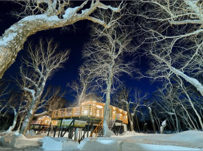 Парк-отель Камчатка Форест Лодж