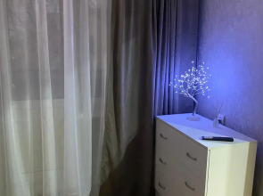 Квартира Большевиков 21А