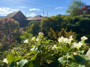 Thach from Travel Hotels Entourage