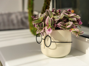 Квартира 9 мин до Парка на 4х гостей