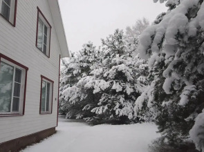 Частный дом Хитрый Лис 1