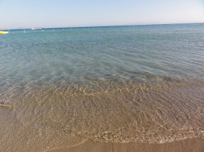 Отель Altinersan Altinkum Didim