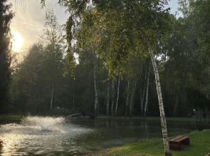 Частный Дом Уютный Домик в Лесу у Пруда