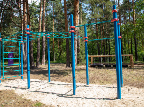 Отель Сосновый бор