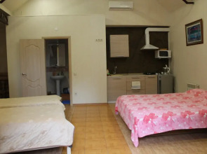 Апартаменты Anatol