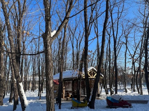 Дубравушка