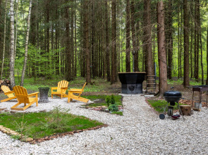 Частный дом в еловом лесу