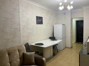 Квартира на Улице Академика Шёгрена 17