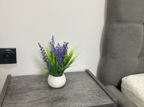 Квартира у Подножья Горы