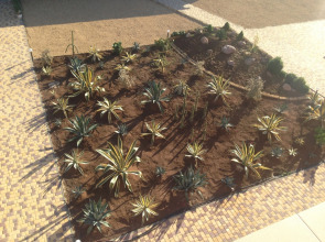 Отель Gala Paradise