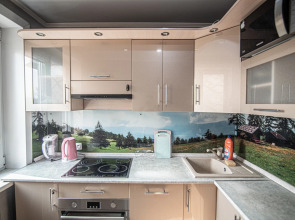 Квартира у областной больницы на 4 человека