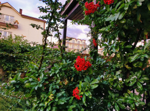 Гостевой дом Наутилус