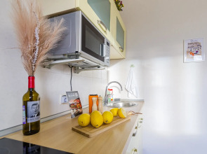 Квартира 1 комнатная Нежная