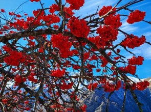 Квартира комфортная в самом центре города с приятным окружающим видом