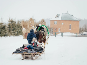 База отдыха Агротуристический комплекс Эль Ранчо