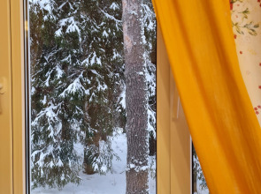 Апартаменты Валдай Пространство мечты 1