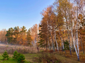 База отдыха Экопарк Бобровый Мыс