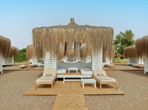 Lara Barut Collection