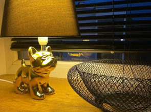 Апартаменты North Station в Центре Калининграда