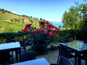 Гостевой дом Злата