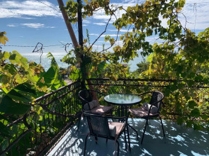 Частный дом Агава