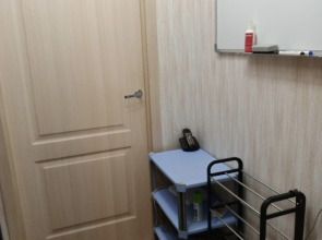 Квартира Санкт-Петербург Пушкин Экспофорум Пулковское Индивидуальная Квартира