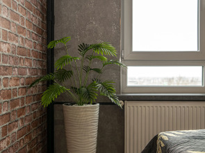 Апартаменты SunSet