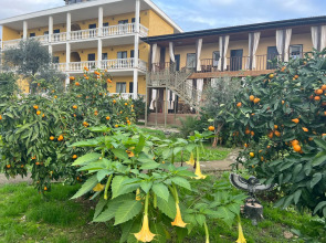 Мини-отель Мэри