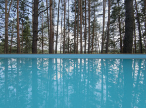 Гостевой дом Wish Home Лесной Берег (Виш Хоум)