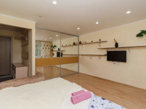 Апартаменты  идеальное расположение «МОИАпарт- Гармония» не далеко аэропорт