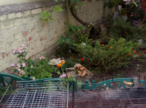 Гостевой Дом Максимилиан