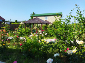 Мини-Отель Добрый Бобр