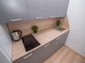 Апартаменты Сурикова 63